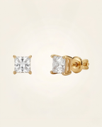 Aretes Topo Lumen